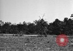 Standbild USA 900th Airborne Ingenieure Tamu Birma, 1944, aus Sekunde 44 historischem Filmmaterial Videoclip 65675058621