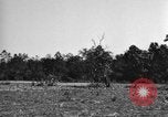 Standbild USA 900th Airborne Ingenieure Tamu Birma, 1944, aus Sekunde 45 historischem Filmmaterial Videoclip 65675058621