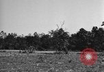 Standbild USA 900th Airborne Ingenieure Tamu Birma, 1944, aus Sekunde 47 historischem Filmmaterial Videoclip 65675058621