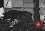 Image of National Youth Administration Puerto Rico, 1941, second 14 stock footage video 65675058626