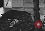 Image of National Youth Administration Puerto Rico, 1941, second 15 stock footage video 65675058626