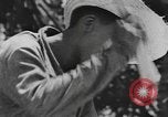 Image of National Youth Administration Puerto Rico, 1941, second 25 stock footage video 65675058626