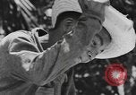 Image of National Youth Administration Puerto Rico, 1941, second 28 stock footage video 65675058626