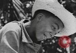 Image of National Youth Administration Puerto Rico, 1941, second 29 stock footage video 65675058626