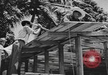 Image of National Youth Administration Puerto Rico, 1941, second 30 stock footage video 65675058626