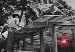 Image of National Youth Administration Puerto Rico, 1941, second 31 stock footage video 65675058626