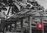 Image of National Youth Administration Puerto Rico, 1941, second 32 stock footage video 65675058626