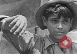Image of National Youth Administration Puerto Rico, 1941, second 38 stock footage video 65675058626