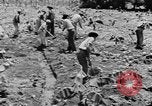 Image of National Youth Administration Puerto Rico, 1941, second 42 stock footage video 65675058626