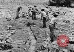 Image of National Youth Administration Puerto Rico, 1941, second 44 stock footage video 65675058626