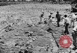Image of National Youth Administration Puerto Rico, 1941, second 46 stock footage video 65675058626