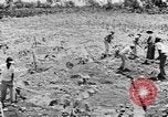 Image of National Youth Administration Puerto Rico, 1941, second 47 stock footage video 65675058626