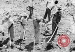 Image of National Youth Administration Puerto Rico, 1941, second 48 stock footage video 65675058626