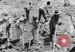 Image of National Youth Administration Puerto Rico, 1941, second 49 stock footage video 65675058626