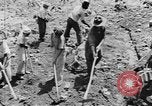 Image of National Youth Administration Puerto Rico, 1941, second 50 stock footage video 65675058626