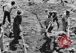 Image of National Youth Administration Puerto Rico, 1941, second 53 stock footage video 65675058626