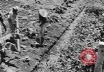 Image of National Youth Administration Puerto Rico, 1941, second 54 stock footage video 65675058626