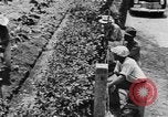 Image of National Youth Administration Puerto Rico, 1941, second 56 stock footage video 65675058626