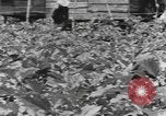 Image of National Youth Administration Puerto Rico, 1941, second 58 stock footage video 65675058626