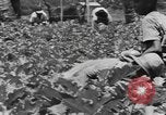Image of National Youth Administration Puerto Rico, 1941, second 62 stock footage video 65675058626