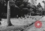 Standbild National Youth Administration Rio Piedras Puerto Rico, 1941, aus Sekunde 10 historischem Filmmaterial Videoclip 65675058627