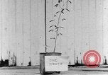 Standbild National Youth Administration Rio Piedras Puerto Rico, 1941, aus Sekunde 35 historischem Filmmaterial Videoclip 65675058627