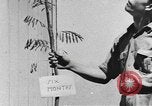 Standbild National Youth Administration Rio Piedras Puerto Rico, 1941, aus Sekunde 40 historischem Filmmaterial Videoclip 65675058627