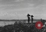 Standbild Gebäude auf den St John Jungferninseln in Zweiter Weltkrieg Virgin Islands, 1941, aus Sekunde 44 historischem Filmmaterial Videoclip 65675058629