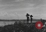 Standbild Gebäude auf den St John Jungferninseln in Zweiter Weltkrieg Virgin Islands, 1941, aus Sekunde 45 historischem Filmmaterial Videoclip 65675058629