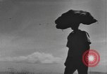 Standbild Gebäude auf den St John Jungferninseln in Zweiter Weltkrieg Virgin Islands, 1941, aus Sekunde 51 historischem Filmmaterial Videoclip 65675058629