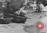 Standbild Gebäude auf den St John Jungferninseln in Zweiter Weltkrieg Virgin Islands, 1941, aus Sekunde 55 historischem Filmmaterial Videoclip 65675058629
