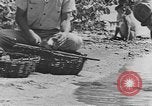Standbild Gebäude auf den St John Jungferninseln in Zweiter Weltkrieg Virgin Islands, 1941, aus Sekunde 56 historischem Filmmaterial Videoclip 65675058629
