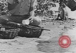 Standbild Gebäude auf den St John Jungferninseln in Zweiter Weltkrieg Virgin Islands, 1941, aus Sekunde 58 historischem Filmmaterial Videoclip 65675058629