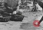 Standbild Gebäude auf den St John Jungferninseln in Zweiter Weltkrieg Virgin Islands, 1941, aus Sekunde 59 historischem Filmmaterial Videoclip 65675058629