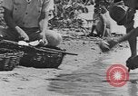 Standbild Gebäude auf den St John Jungferninseln in Zweiter Weltkrieg Virgin Islands, 1941, aus Sekunde 60 historischem Filmmaterial Videoclip 65675058629