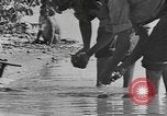 Standbild Gebäude auf den St John Jungferninseln in Zweiter Weltkrieg Virgin Islands, 1941, aus Sekunde 62 historischem Filmmaterial Videoclip 65675058629