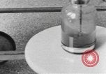 Immagine di National Youth Administration Puerto Rico, 1941, secondo 61 filmato di repertorio 65675058630