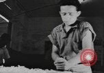 Image of National Youth Administration Puerto Rico, 1941, second 1 stock footage video 65675058634