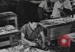 Image of National Youth Administration Puerto Rico, 1941, second 15 stock footage video 65675058634