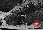 Standbild National Youth Administration Juana Diaz Puerto Rico, 1941, aus Sekunde 36 historischem Filmmaterial Videoclip 65675058635
