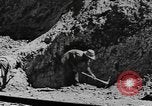 Standbild National Youth Administration Juana Diaz Puerto Rico, 1941, aus Sekunde 37 historischem Filmmaterial Videoclip 65675058635
