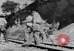 Standbild National Youth Administration Juana Diaz Puerto Rico, 1941, aus Sekunde 45 historischem Filmmaterial Videoclip 65675058635