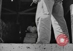 Standbild National Youth Administration Puerto Rico, 1941, aus Sekunde 20 historischem Filmmaterial Videoclip 65675058637