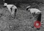 Standbild US-Flugzeug Virgin Islands, 1941, aus Sekunde 43 historischem Filmmaterial Videoclip 65675058638