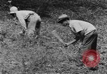 Standbild US-Flugzeug Virgin Islands, 1941, aus Sekunde 44 historischem Filmmaterial Videoclip 65675058638