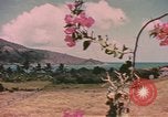 Standbild Küste Virgin Islands, 1941, aus Sekunde 17 historischem Filmmaterial Videoclip 65675058640