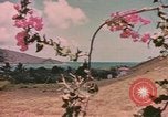 Standbild Küste Virgin Islands, 1941, aus Sekunde 20 historischem Filmmaterial Videoclip 65675058640