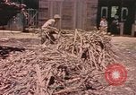 Standbild Rinder ziehen einen Pflug Puerto Rico, 1941, aus Sekunde 16 historischem Filmmaterial Videoclip 65675058641