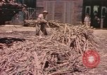 Standbild Rinder ziehen einen Pflug Puerto Rico, 1941, aus Sekunde 17 historischem Filmmaterial Videoclip 65675058641
