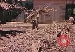 Standbild Rinder ziehen einen Pflug Puerto Rico, 1941, aus Sekunde 18 historischem Filmmaterial Videoclip 65675058641